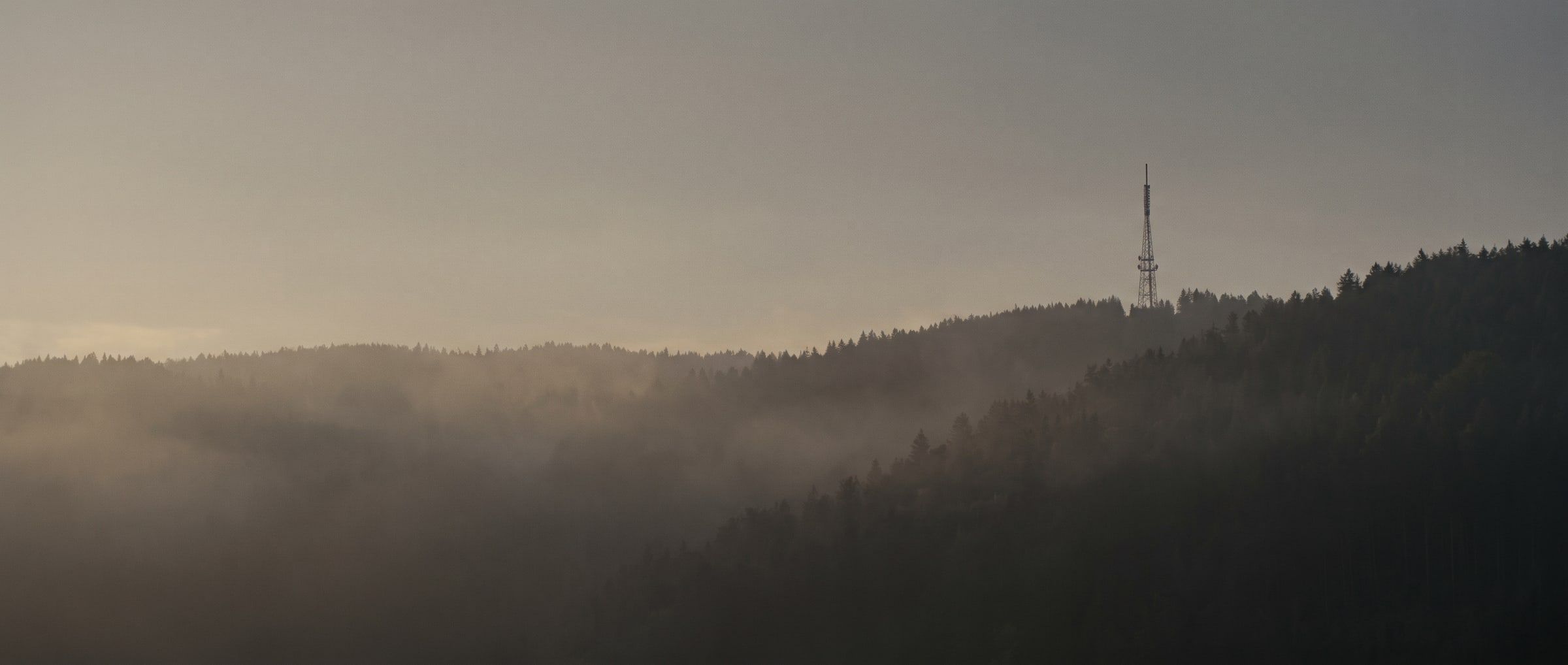 Gittermast auf einem bewaldeten Höhenzug im Nebel