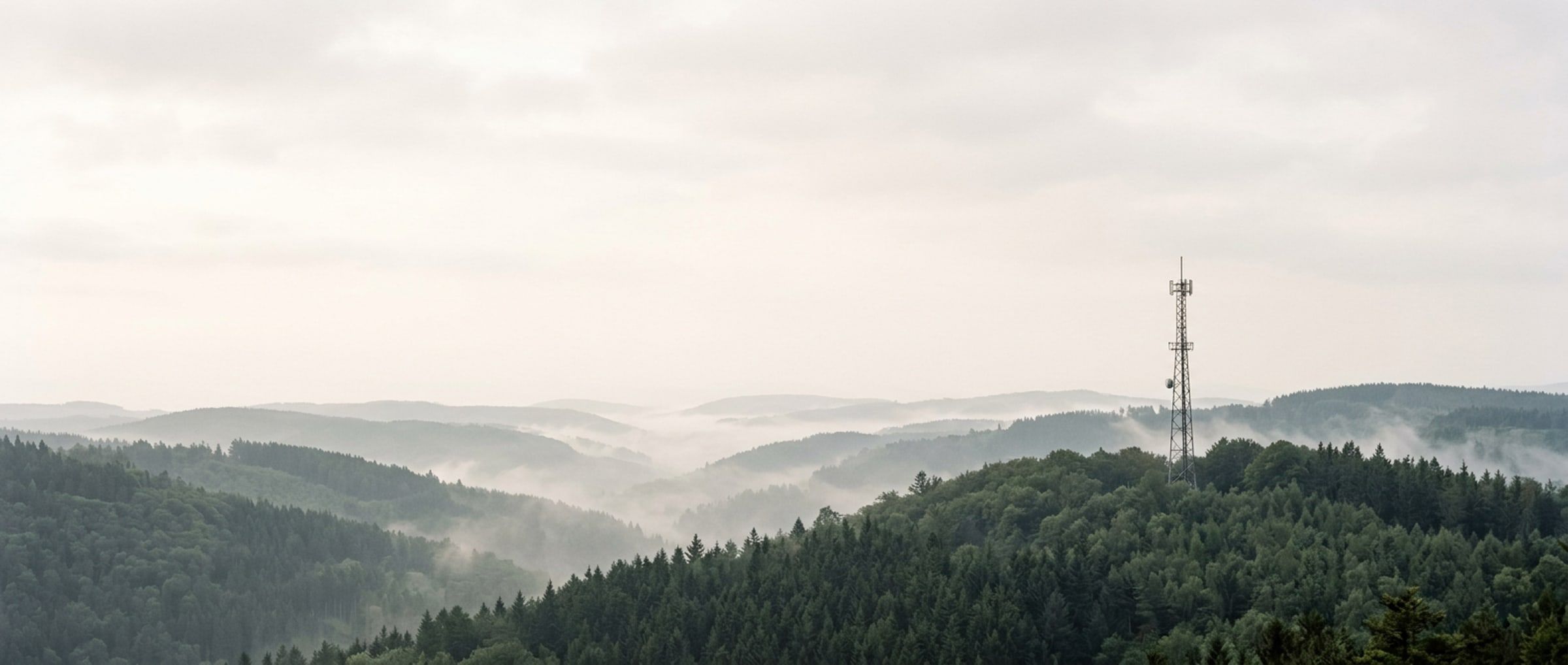 Gittermast auf einem bewaldeten Höhenzug im Nebel